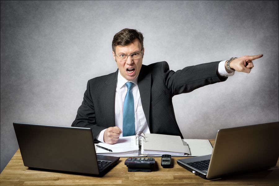 mississauga employment lawyers